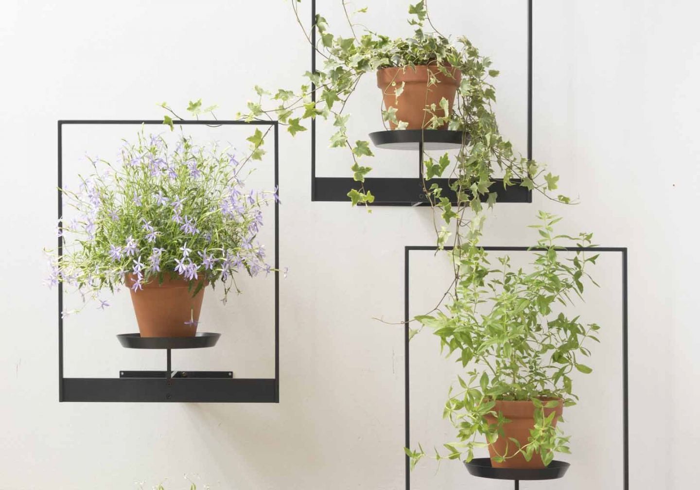Buy Floating plant shelf L55