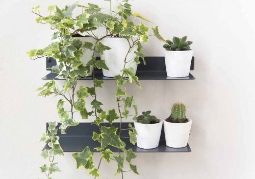 Etagère plante en alu L60 cm - Lot de 2