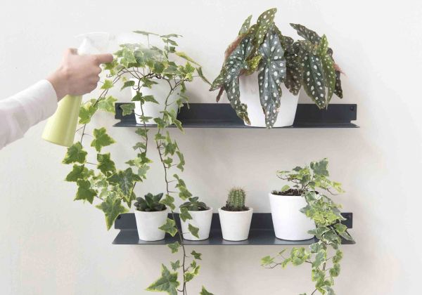 Plant shelf
